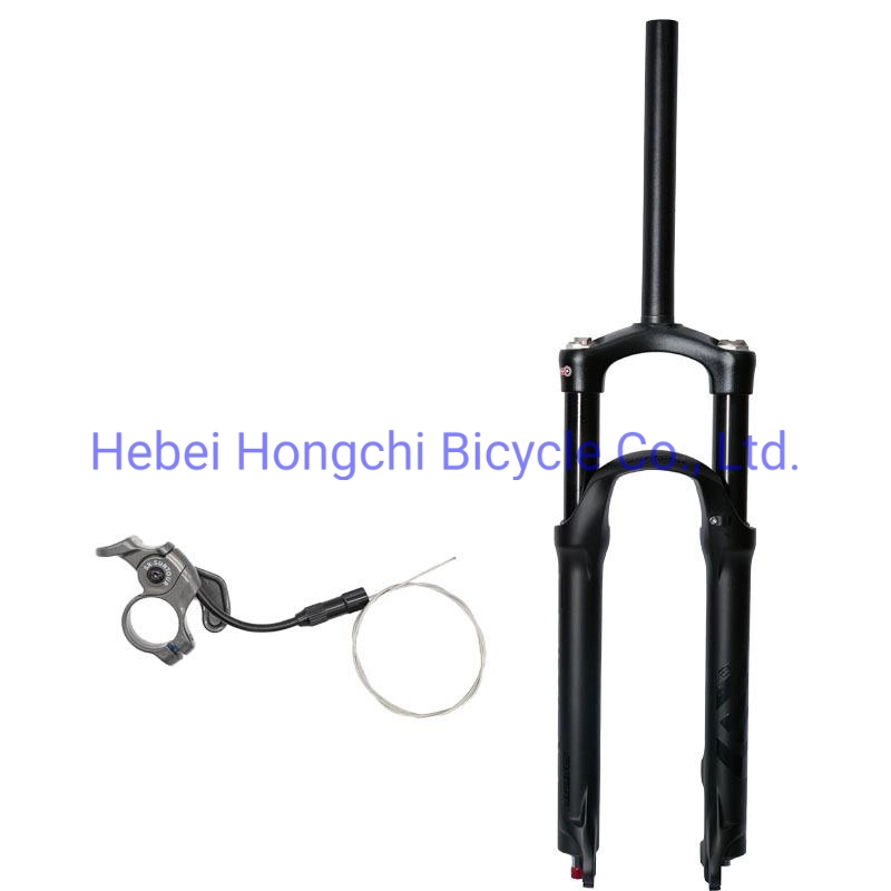 High Quality Bicycle Store Bike Private Front Fork